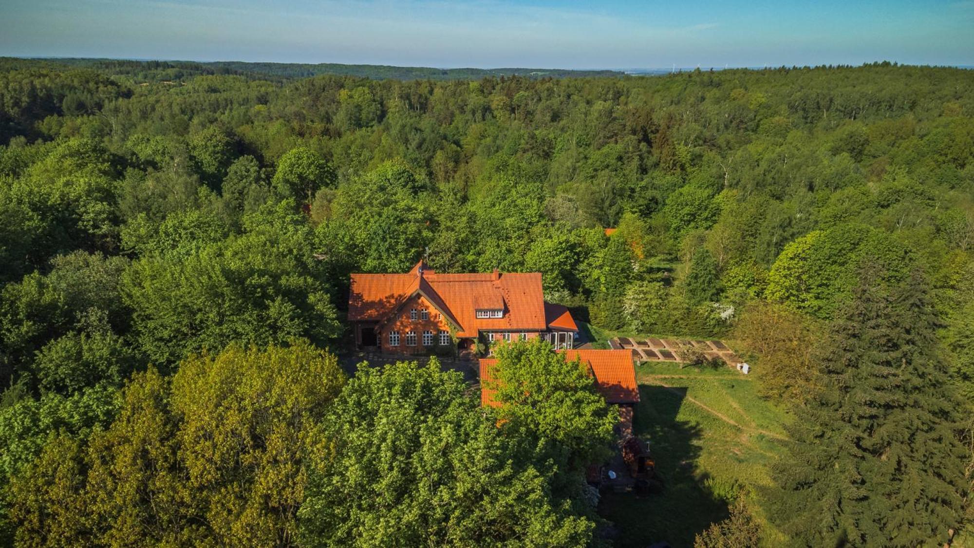 Dom Goscinny Stara Szkola Wysoka Wieś Exteriör bild
