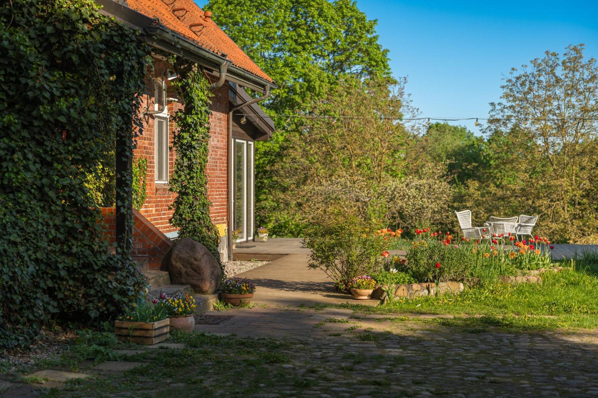 Dom Goscinny Stara Szkola Wysoka Wieś Exteriör bild